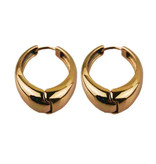 Oorbel Paris Stainless Steel Gold Plated