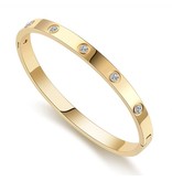 Stainless Steel Gold Plated Bangle met zirkonia's