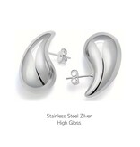 Stainless Steel Zilver Plated waterdruppel oorbellen