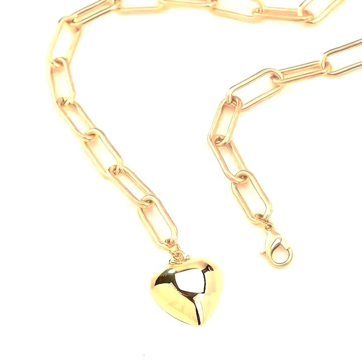 Verstelbare Stainless Steel gouden ketting met hart