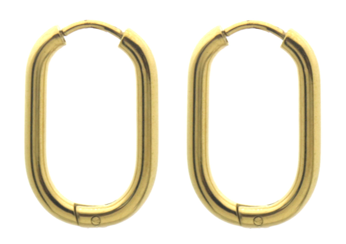 Musthaves Rechthoekige stainless steel gold plated creolen