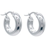 Musthaves Stainless Steel creolen van 20 mm - hypoallergeen,