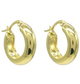 Musthaves Stainless Steel creolen van 20 mm - hypoallergeen