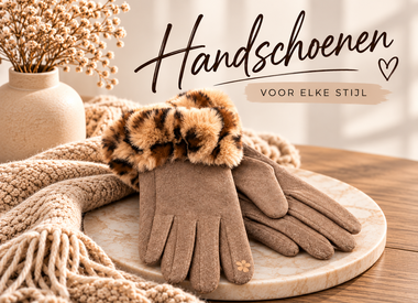 Handschoenen