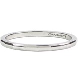 Charmin's ANGLE SHINY STEEL R304