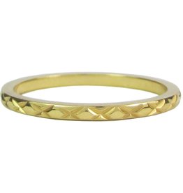 Charmin's CROSS GOLD STEEL R305