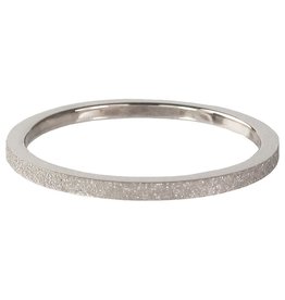 Charmin's Ring | Sanded | Stainless steel | Silver | R340