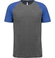 Proact Tweekleurig sport-t-shirt met korte mouwen volwassene Proact Tweekleurig sport-t-shirt met korte mouwen volwassene