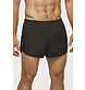 Proact Men's Running Shorts