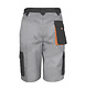 Result Work-Guard LITE Short