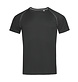 Stars by Stedman Active 140 Team Raglan Men