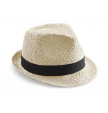 Beechfield Festival Trilby