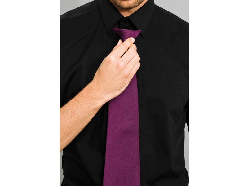 Premier Colours Fashion Clip Tie