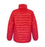 Result Urban Ice Bird Padded Jacket