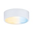 Paulmann Furniture lights Clever Connect Spot Medal White matt 12V 2.3W TunableWhite 2.700K