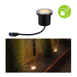 paulmann-plug-shine-led- 