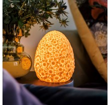 The DAISY lamp, cordless table lamp.