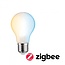 Paulmann  Smart Home Zigbee Filament 230V LED Bulb E27