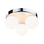 Paulmann Selection Bathroom ceiling light Gove
