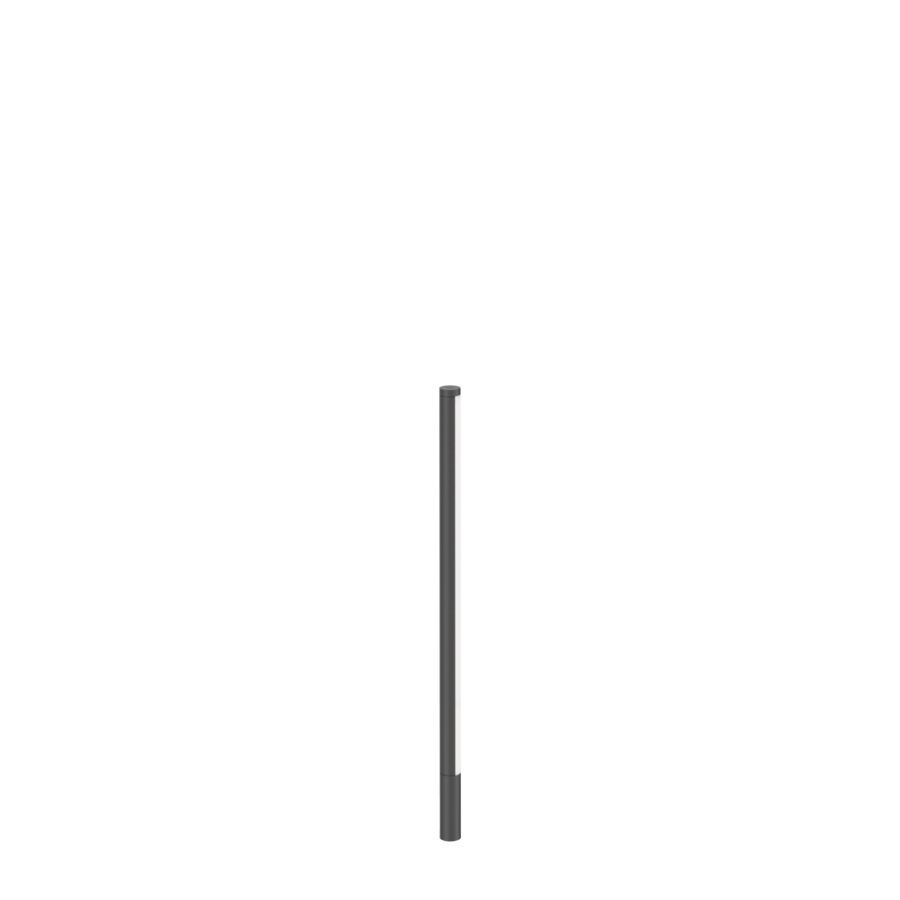 reed10.jpg
