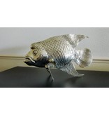 SEA LIFE - MGM Tropical fish sculpture Lou Han - silver plated Yellowcast