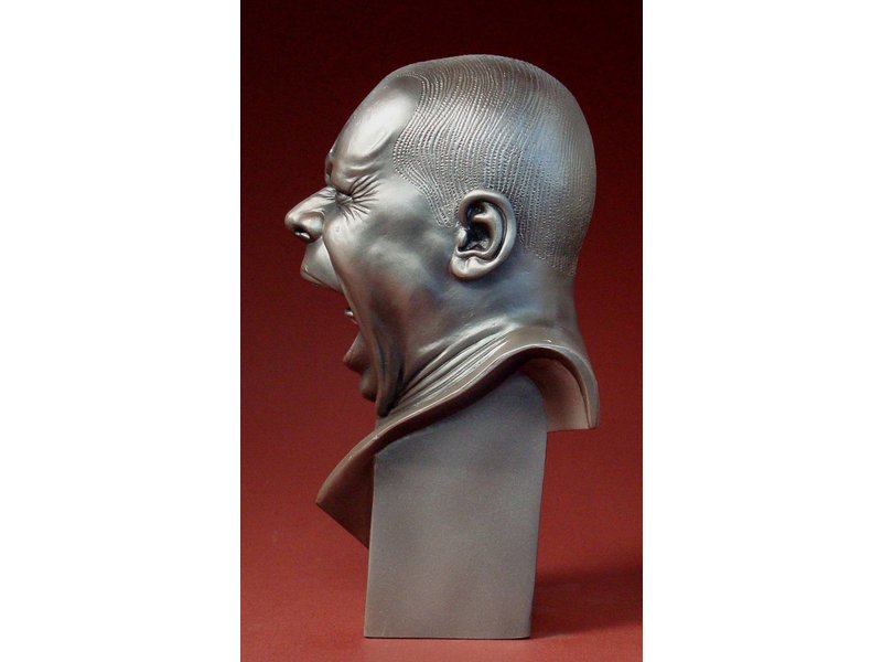Mouseion Messerschmidt, bust of The Yawner
