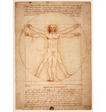 Mouseion The Vitruvian Man, white - L