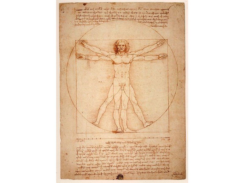 Mouseion The Vitruvian Man, white - L