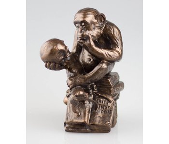 Mouseion Monkey with skull