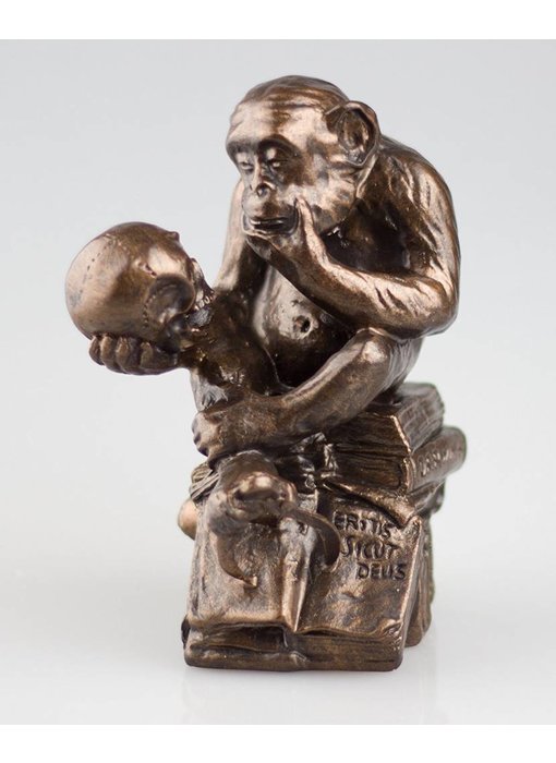 Mouseion Monkey with skull