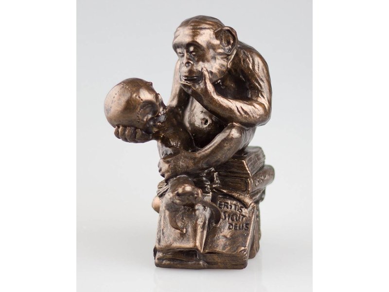 Mouseion Aap met menselijke schedel, Darwin, Philos Monkey