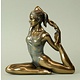 Figura de yoga Postura del Rey Paloma
