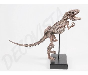 Baroque House of Classics Tyrannosaurus Rex esqueleto de dinosaurio