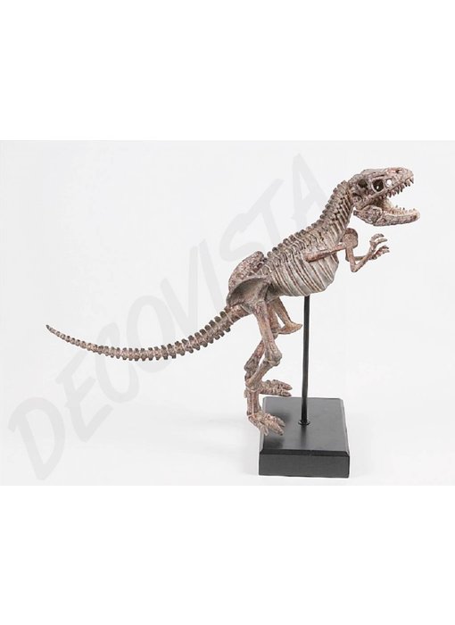 Baroque House of Classics Tyrannosaurus Rex esqueleto de dinosaurio