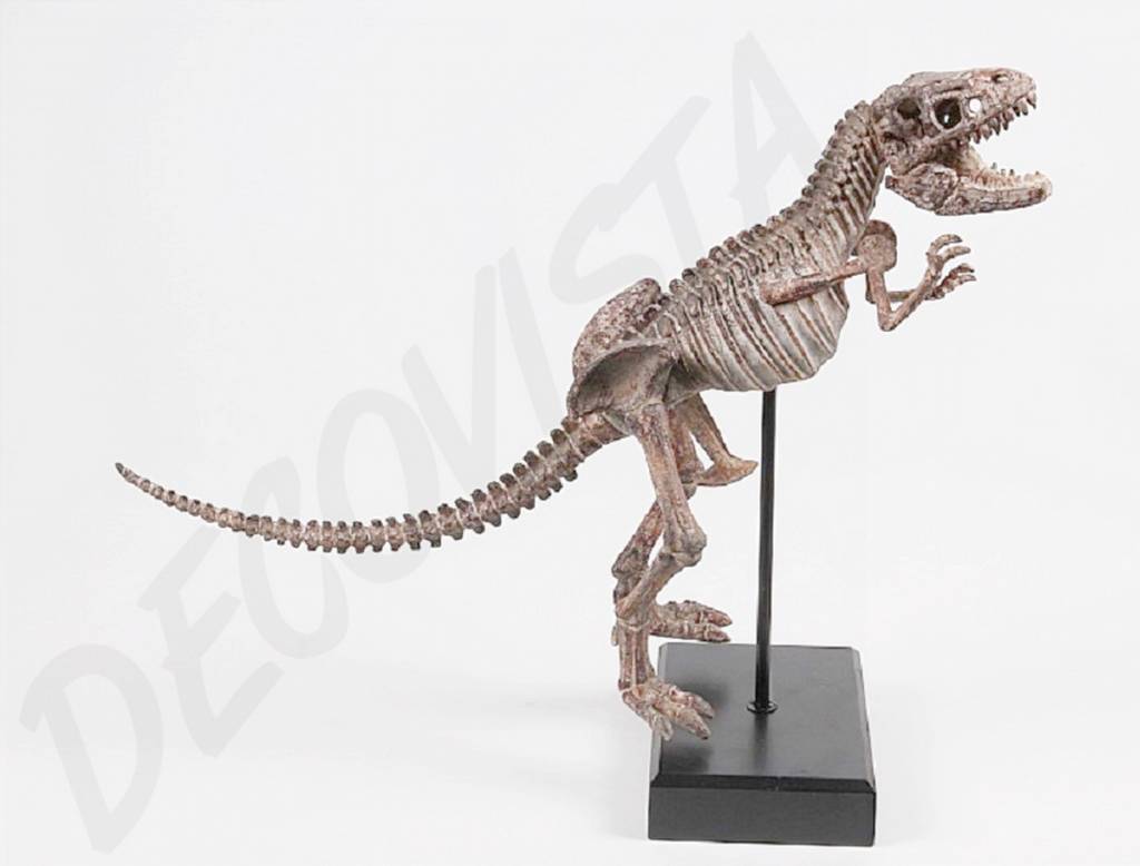 skelet van Tyrrannosaurus Rex DecoVista - kleurrijke meubelen, wanddecoraties en glasobjecten