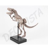 Baroque House of Classics  Dinosaurus skelet  raptor