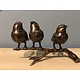 vogels op tak