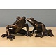 Pair of tree frogs - bronze