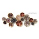 Wanddecoratie Pintra