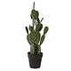 Green imitation cactus in flowerpot