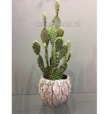 Casablanca Deco-Art Cactus verde en maceta