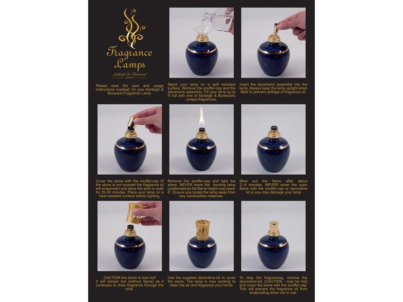 Ashleigh & Burwood Fragrance Lamp Deep Purple - L