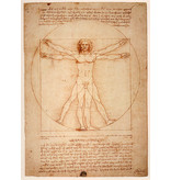 Mouseion Beeld van The Vitruvian man - Mens van Vitruvius