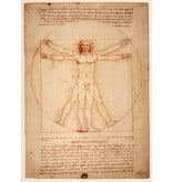 Mouseion statue of The Vitruvian Man