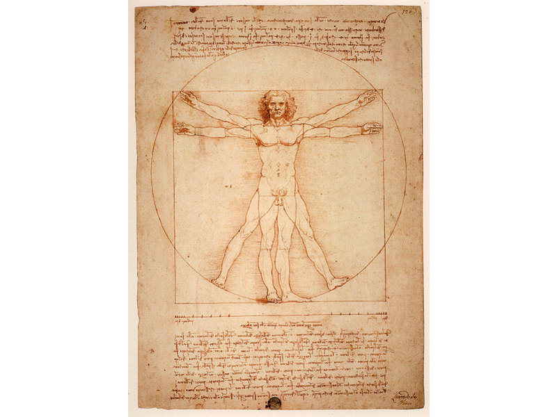 Mouseion Beeld  "Vitruvian man" - Mens van Vitruvius