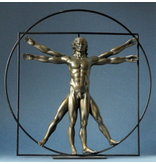 Mouseion Beeld van The Vitruvian man - Mens van Vitruvius