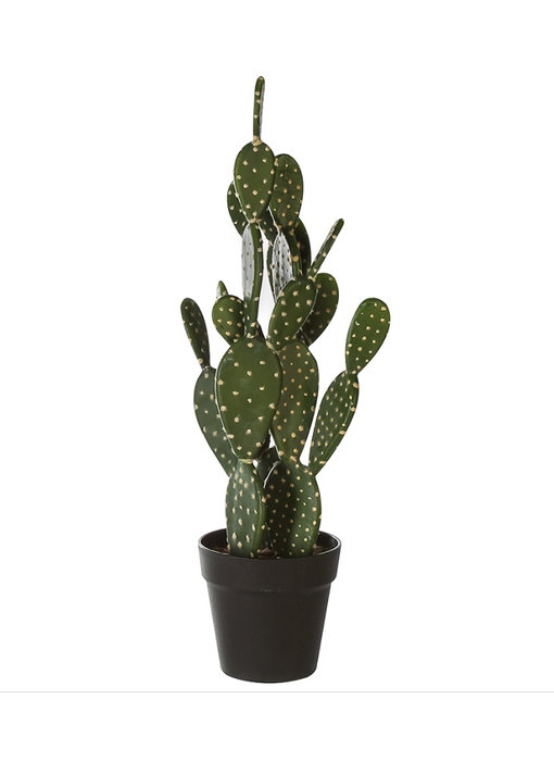 Casablanca Deco-Art Cactus in bloempot