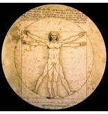 Mouseion LeonardoDa Vinci Briefbeschwerer Der Mann von Vitruvius