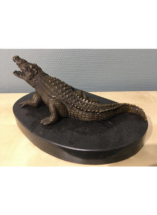Bronzen krokodil op  natuursteen