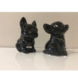 Chihuahua and French bulldog - money box